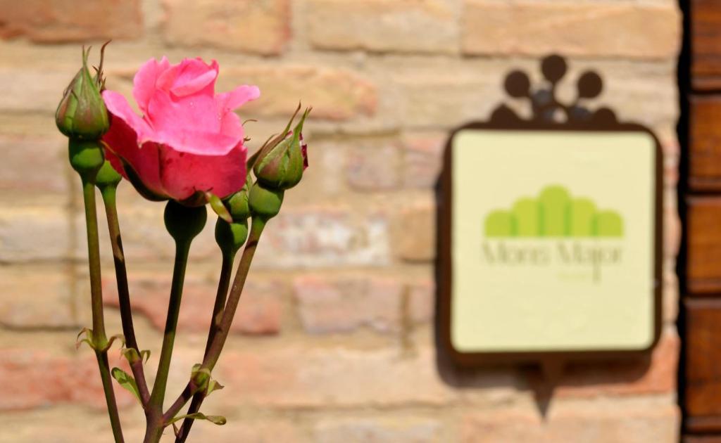 Mons Major Relais Villa Montemaggiore al Metauro Екстериор снимка